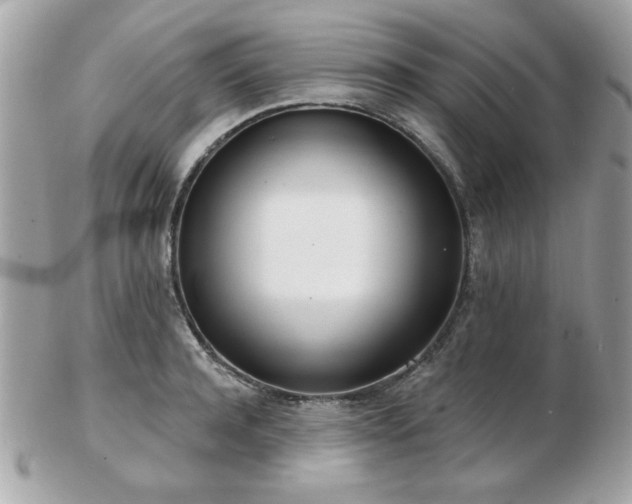 X0000103260944200808291215