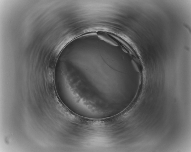 X0000103260945200808291215