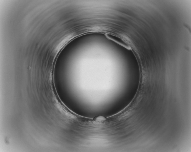 X0000103260946200808291215