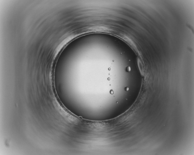 X0000103260947200808291215