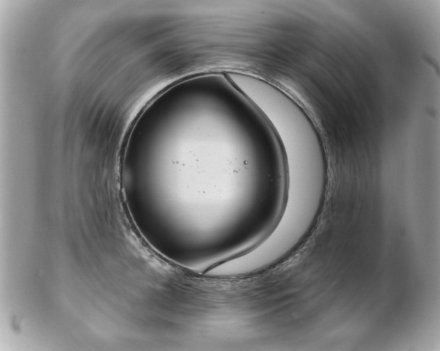 X0000103260948200808291215