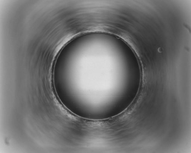 X0000103260949200808291215