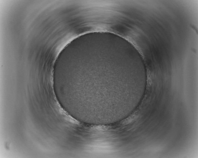 X0000103260950200808291215