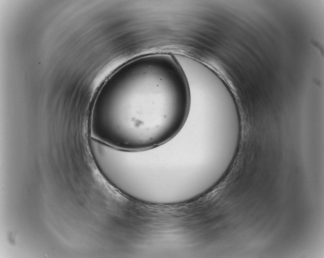 X0000103260952200808291215