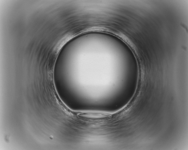 X0000103260953200808291215