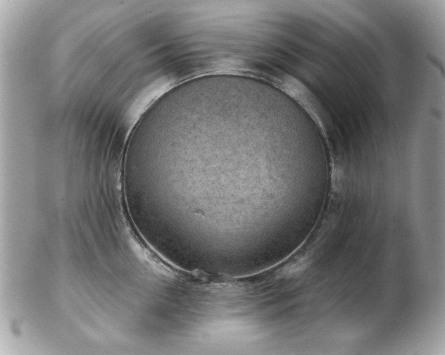 X0000103260954200808291215