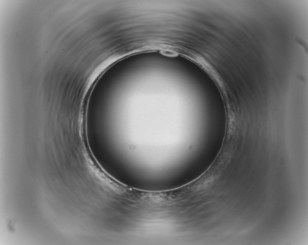 X0000103260955200808291215