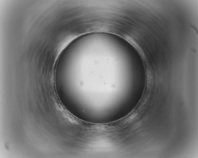 X0000103260956200808291215