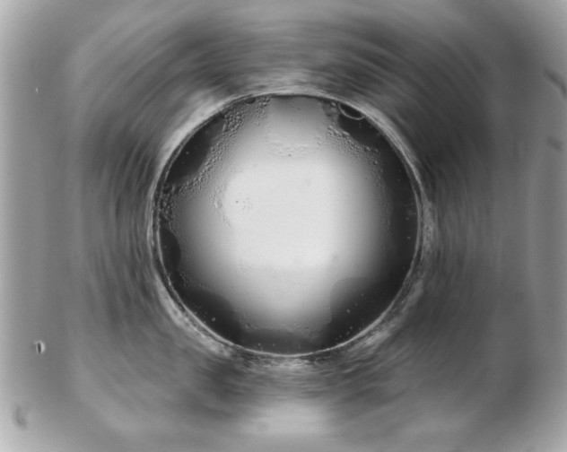 X0000103260957200808291215