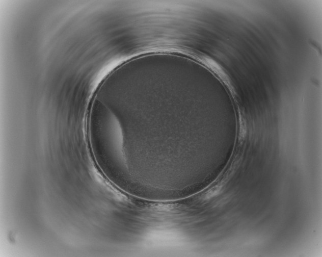 X0000103260958200808291215