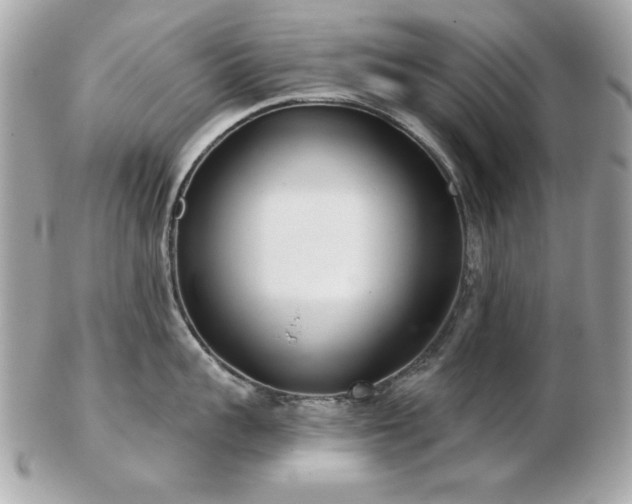 X0000103260959200808291215