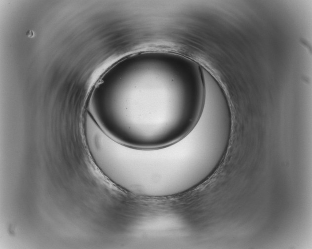 X0000103260960200808291215