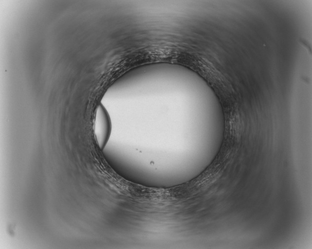 X0000103260961200808291214