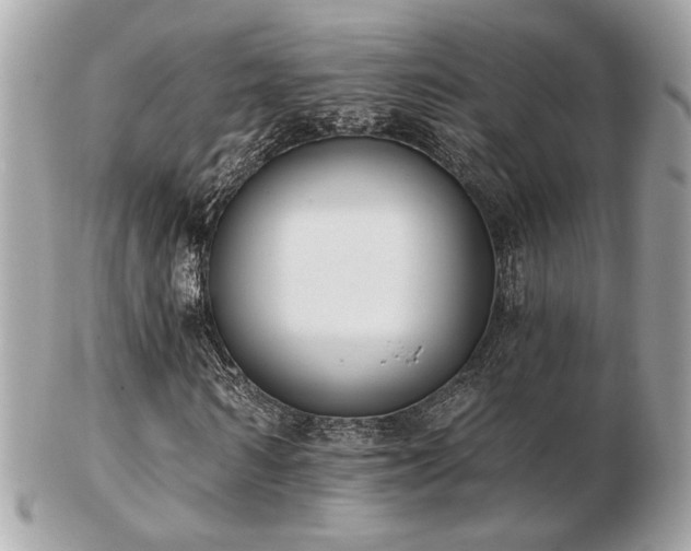 X0000103260962200808291214