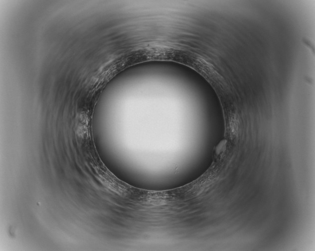 X0000103260964200808291214