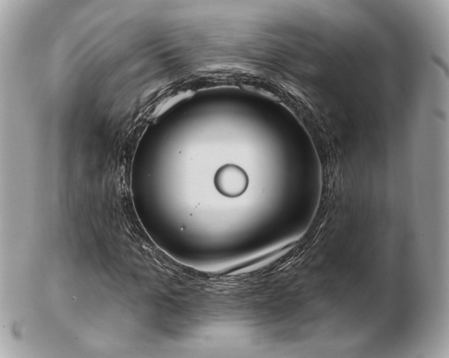 X0000103260965200808291214