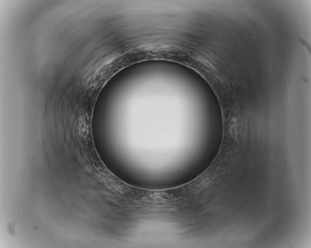 X0000103260966200808291214