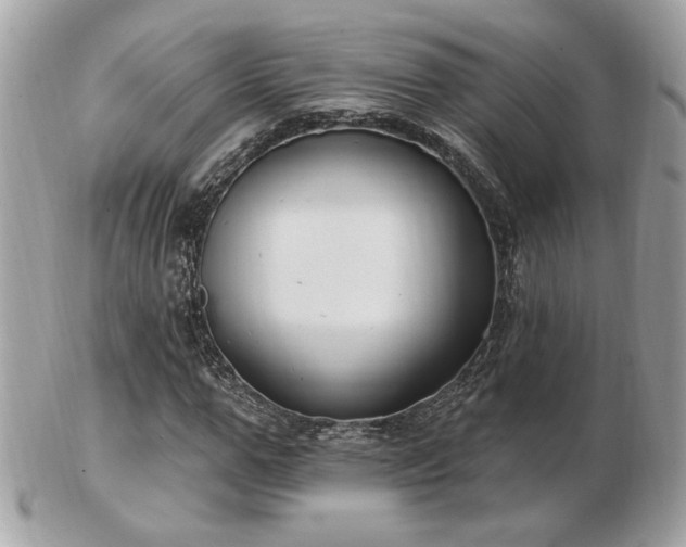 X0000103260967200808291214