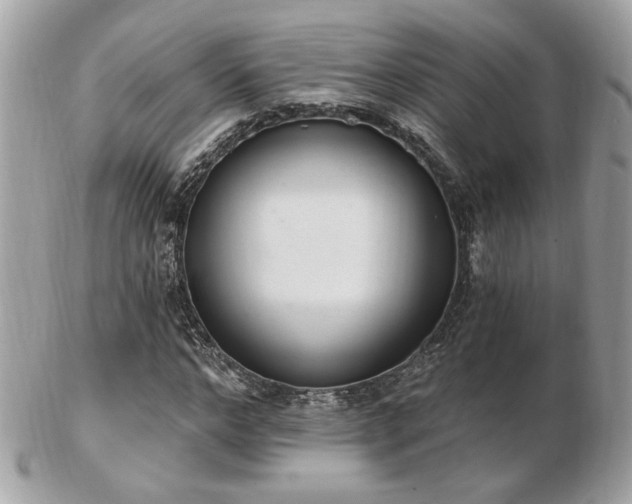 X0000103260968200808291214