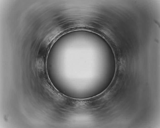 X0000103260969200808291214