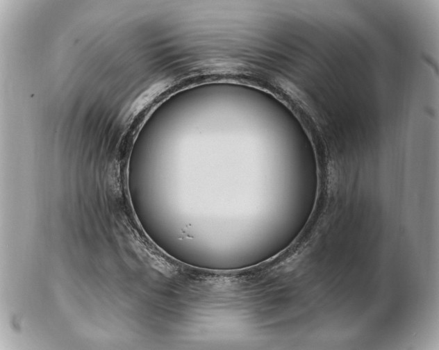 X0000103260970200808291214