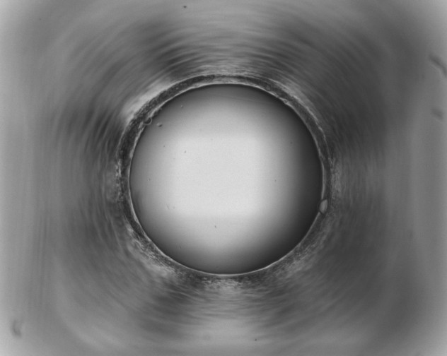 X0000103260971200808291214