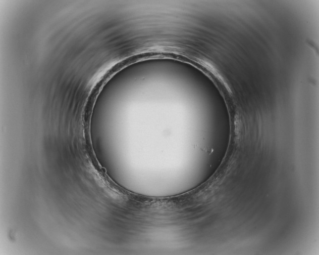 X0000103260972200808291214