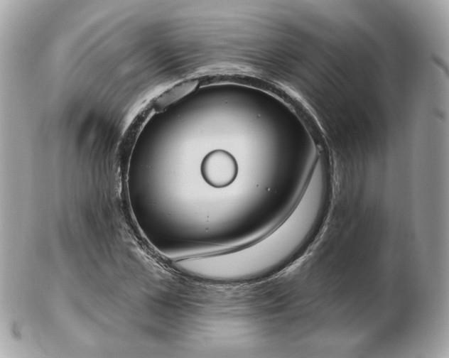 X0000103260973200808291214