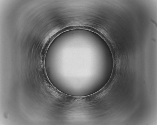 X0000103260974200808291214