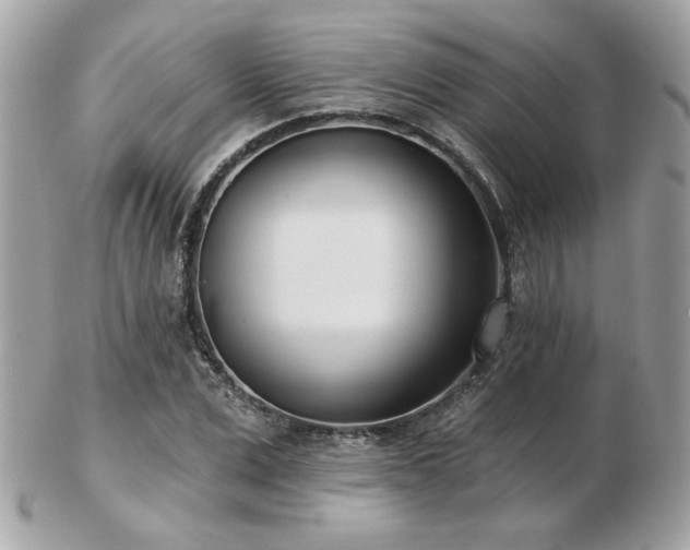 X0000103260975200808291214