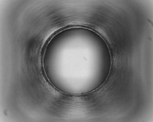 X0000103260976200808291214