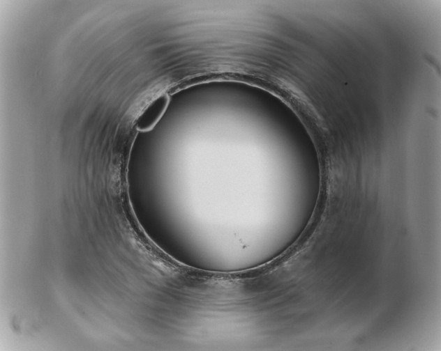 X0000103260977200808291214