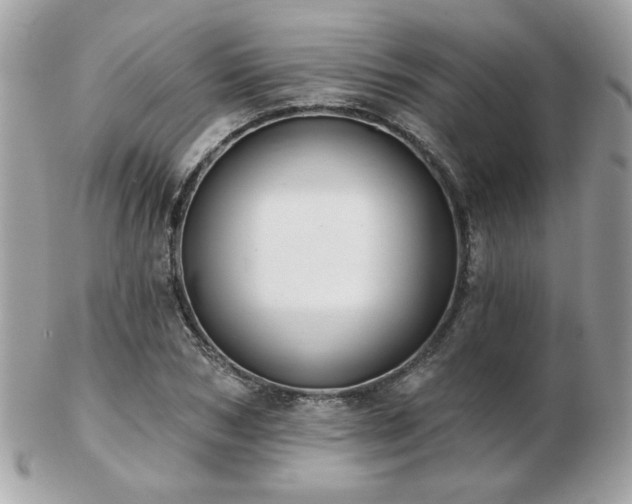 X0000103260978200808291214