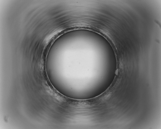 X0000103260979200808291214