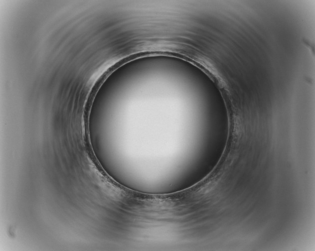 X0000103260980200808291214