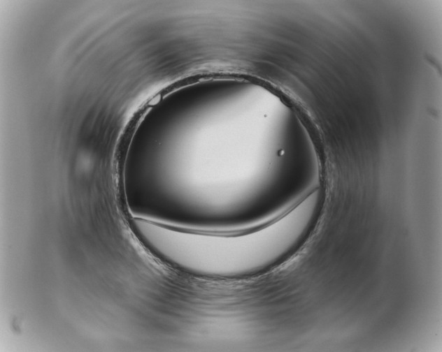 X0000103260981200808291214