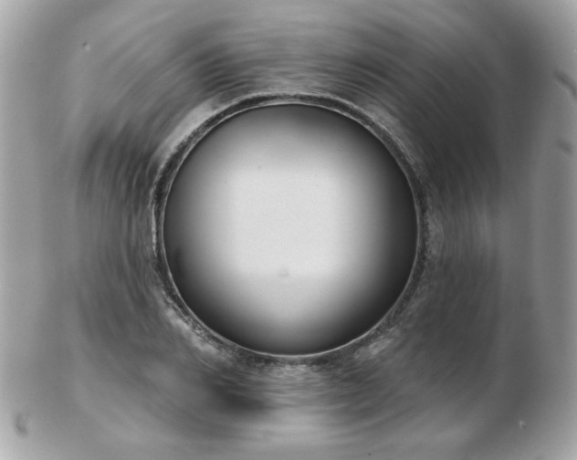 X0000103260982200808291214