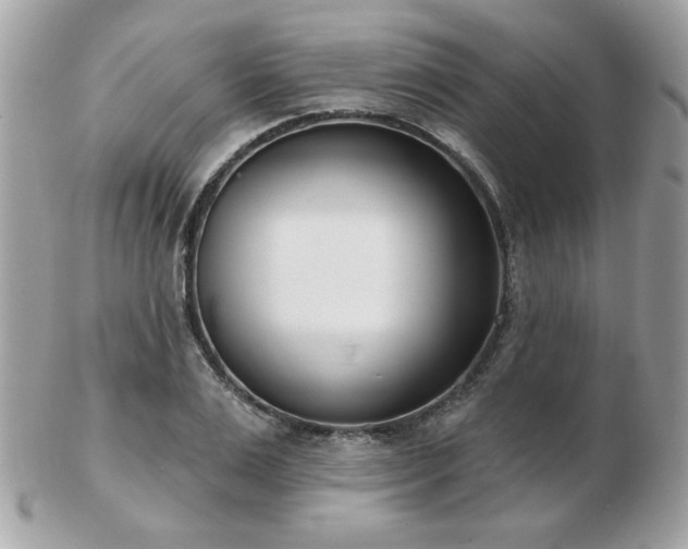 X0000103260983200808291214