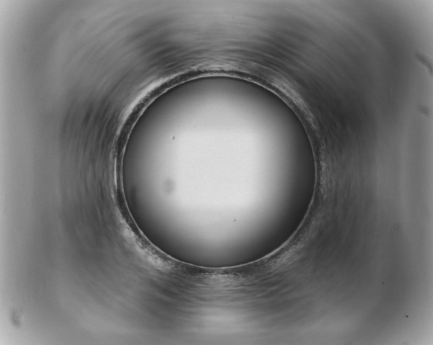 X0000103260984200808291214