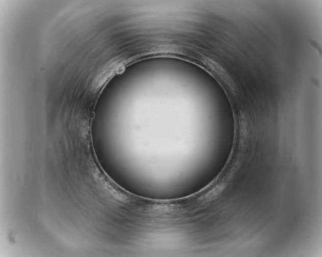 X0000103260985200808291214