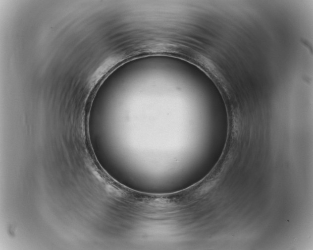 X0000103260986200808291214