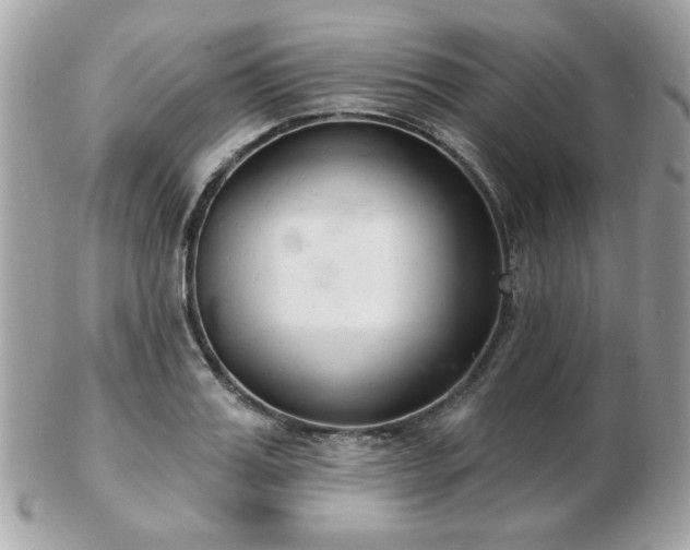 X0000103260987200808291214