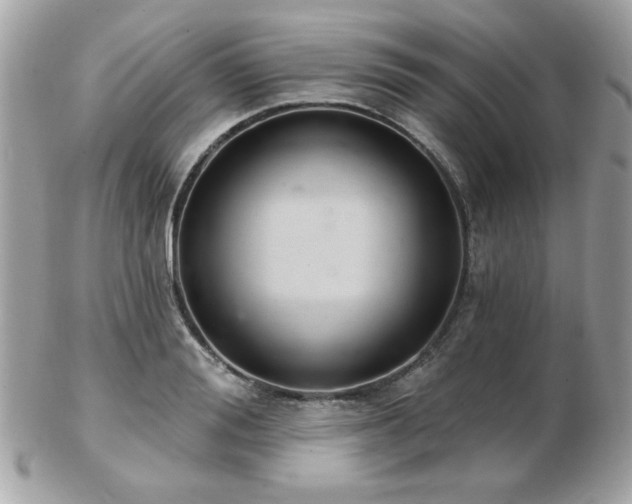 X0000103260988200808291214