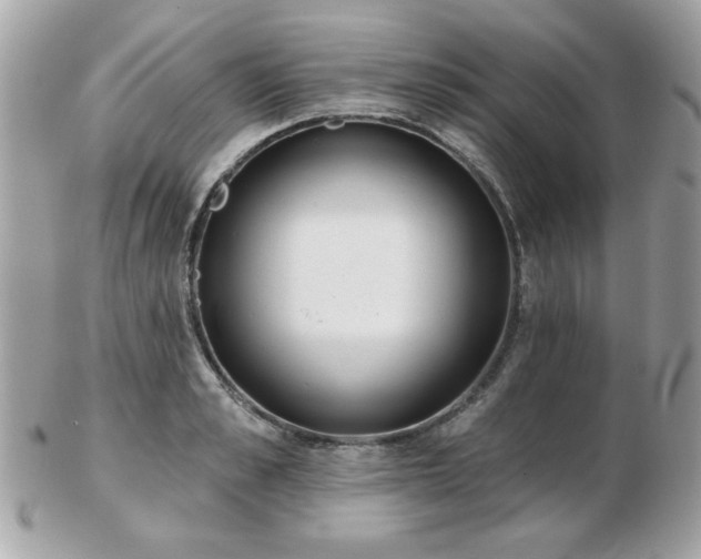 X0000103260989200808291214