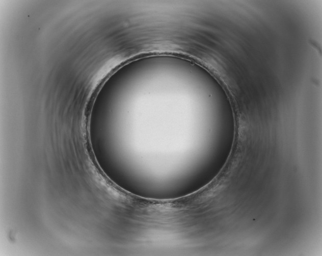 X0000103260990200808291214