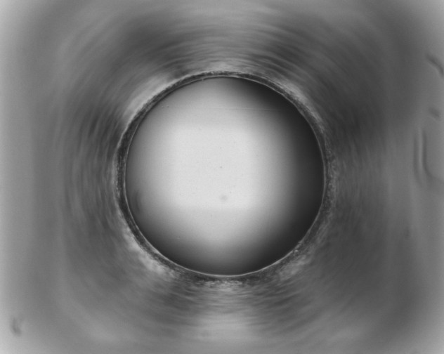 X0000103260991200808291214