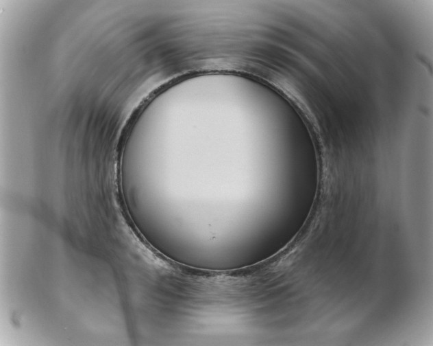 X0000103260992200808291214