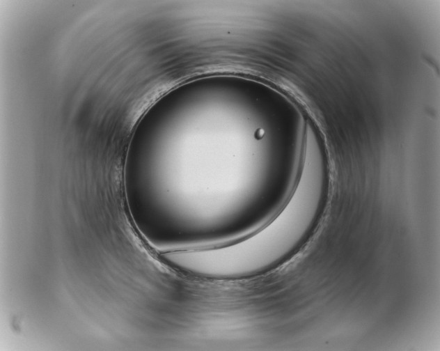 X0000103260993200808291214