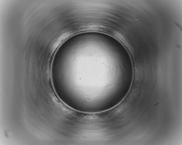 X0000103260994200808291214