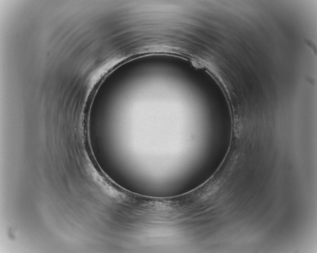 X0000103260995200808291214